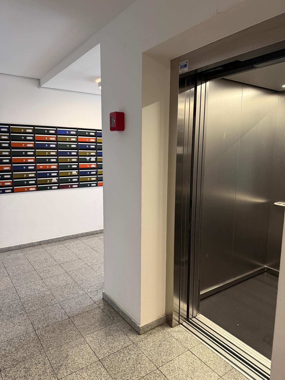 Green 4 Clean – fotografija 31